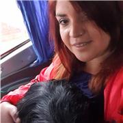 clases online de lenguaje Paes, comprensión lectora